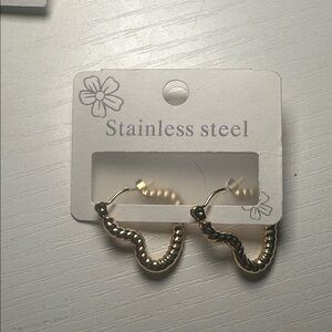 Stainless Steel Earrings